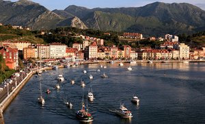 muelle