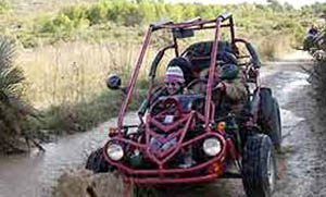 buggie