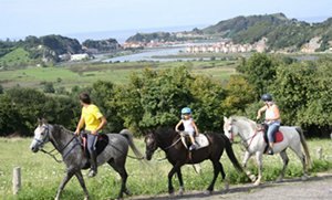 caballos
